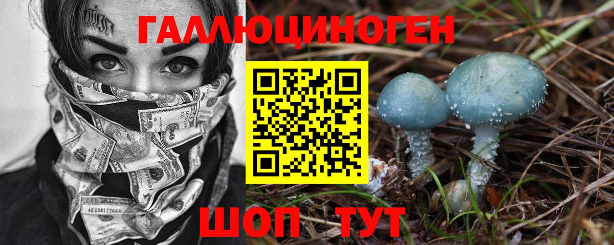Псилоцибиновые грибы мухоморы  Псилоцибиновые грибы Cubensis  Калуга  Вход с VPN 