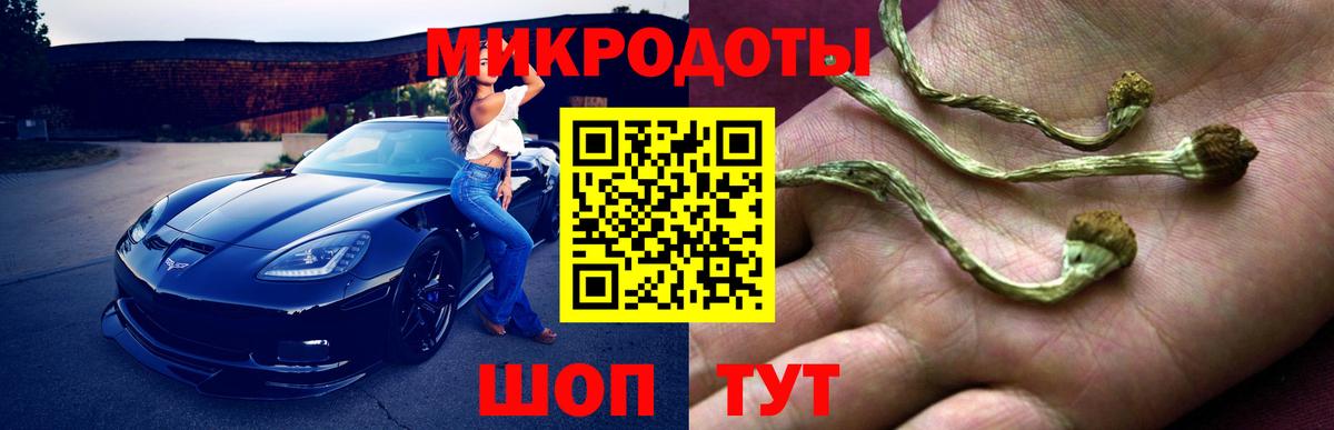 Галлюциногенные грибы Magic Shrooms Калуга